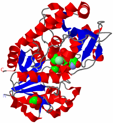 Image Asym./Biol. Unit