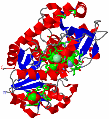 Image Asym./Biol. Unit - sites