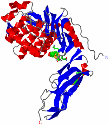 Image Asym./Biol. Unit - sites