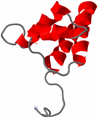 Image NMR Structure - model 1