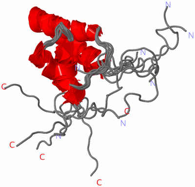 Image NMR Structure - all models