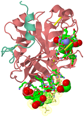 Image Asym./Biol. Unit - sites