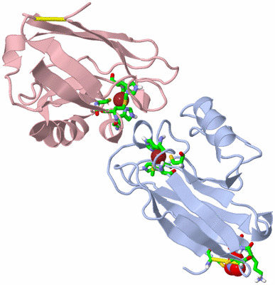 Image Biol. Unit 1 - sites