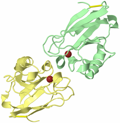 Image Biological Unit 2