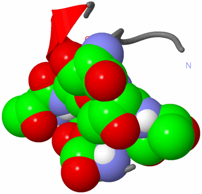 Image NMR Structure - model 1