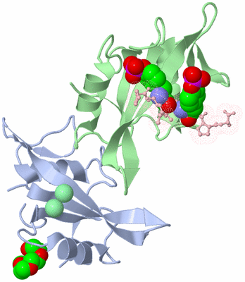 Image Asymmetric Unit
