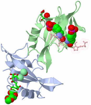 Image Asym. Unit - sites