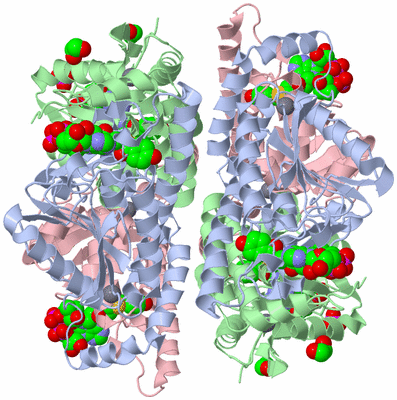 Image Biological Unit 1