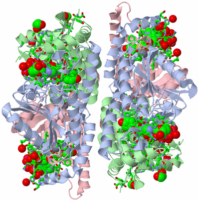 Image Biol. Unit 1 - sites