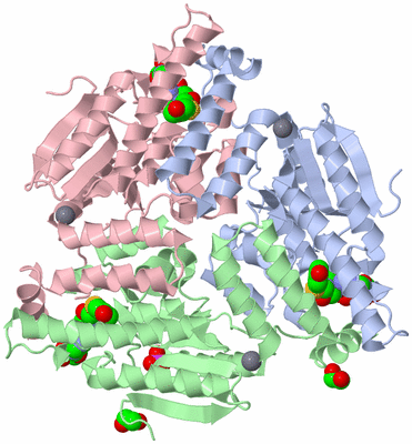 Image Biological Unit 2