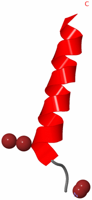 Image Asymmetric Unit