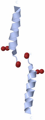 Image Biological Unit 3