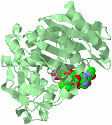 Image Biological Unit 2