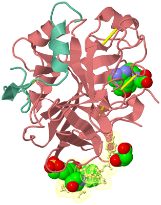 Image Biological Unit 1