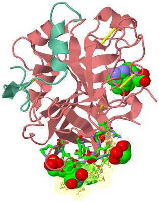 Image Biol. Unit 1 - sites