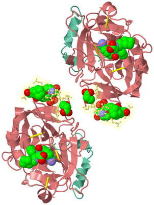 Image Biological Unit 2