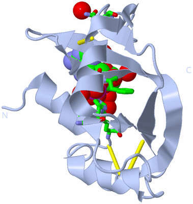 Image Biol. Unit 1 - sites