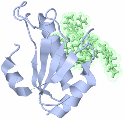 Image NMR Structure - model 1