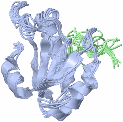 Image NMR Structure - all models