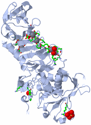 Image Biol. Unit 1 - sites