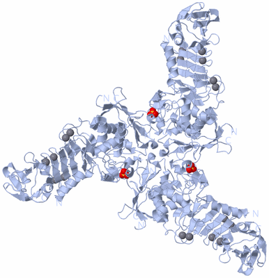 Image Biological Unit 2