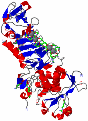 Image Asym. Unit - sites