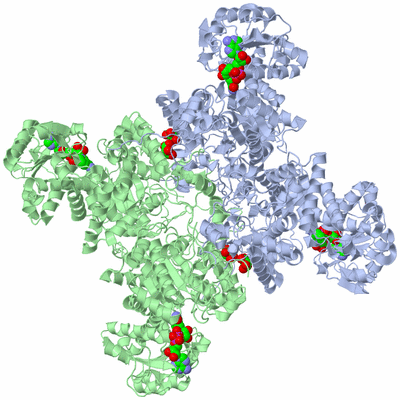 Image Biological Unit 1