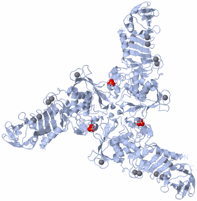 Image Biological Unit 2