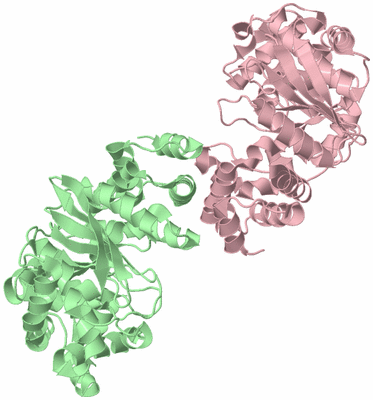 Image Biological Unit 2