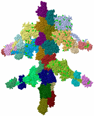 Image Asym./Biol. Unit