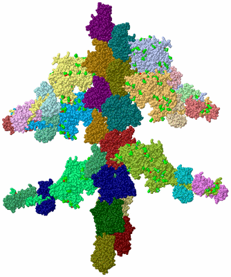 Image Asym./Biol. Unit