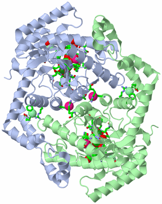 Image Biol. Unit 1 - sites