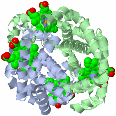 Image Biological Unit 1