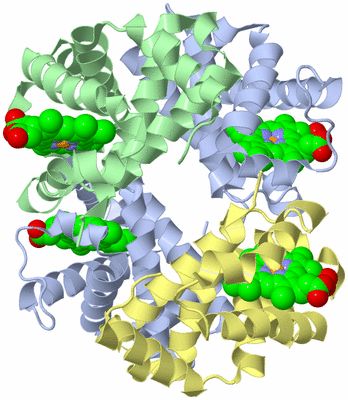 Image Asym./Biol. Unit