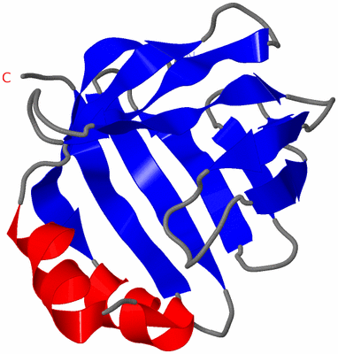 Image NMR Structure - model 1