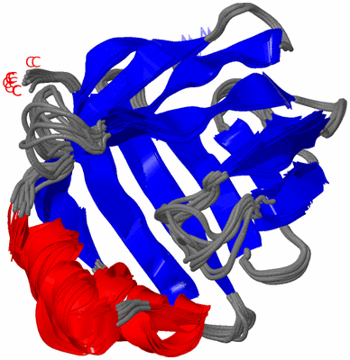 Image NMR Structure - all models