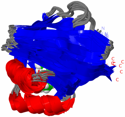 Image NMR Structure - all models