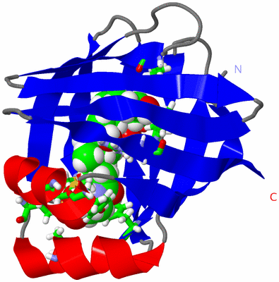 Image NMR Structure - model 1, sites