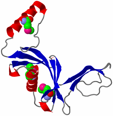 Image Asymmetric Unit