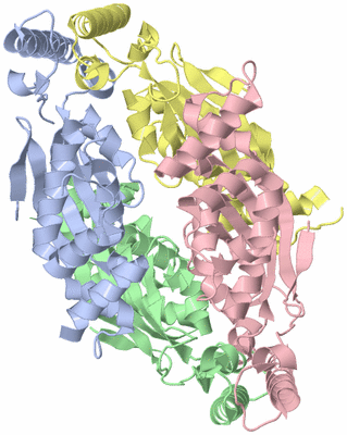 Image Asym./Biol. Unit