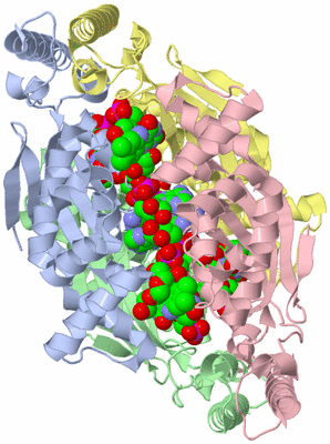 Image Asym./Biol. Unit