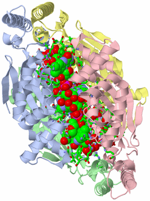 Image Asym./Biol. Unit - sites