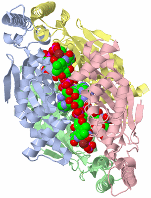 Image Asym./Biol. Unit