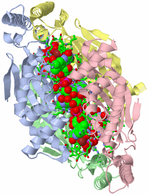 Image Asym./Biol. Unit - sites