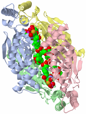 Image Asym./Biol. Unit