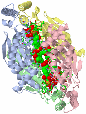 Image Asym./Biol. Unit - sites