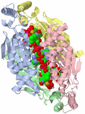 Image Asym./Biol. Unit
