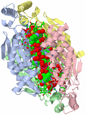 Image Asym./Biol. Unit - sites