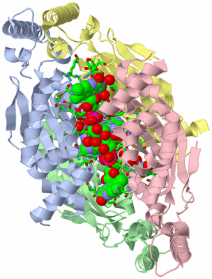 Image Asym./Biol. Unit - sites