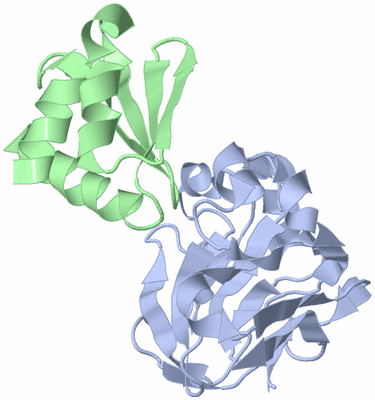 Image NMR Structure - model 1